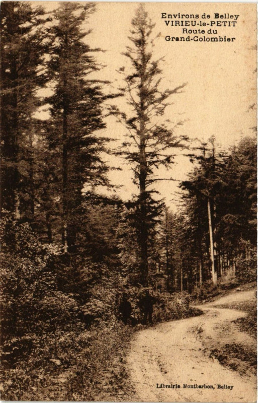 Carte postale ancienne Virieu le Petit - Route du Grand-Colombier