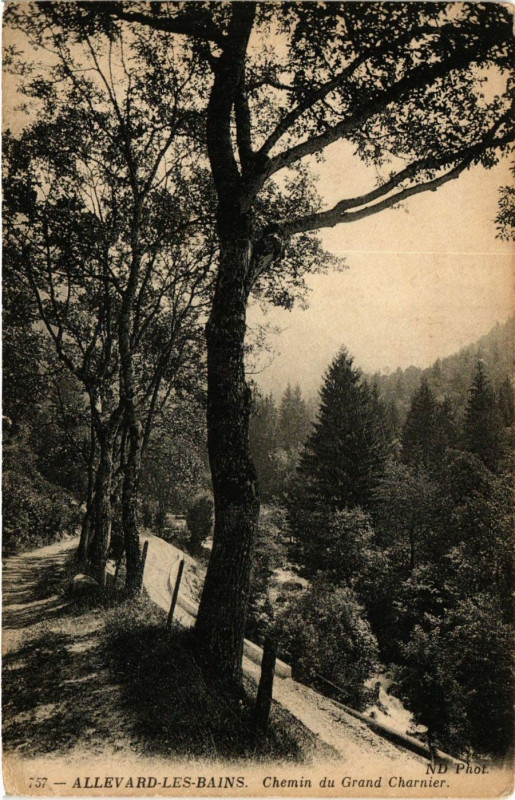 Carte postale ancienne Allevard-les-Bains - Chemin du Grand Charnier à Allevard