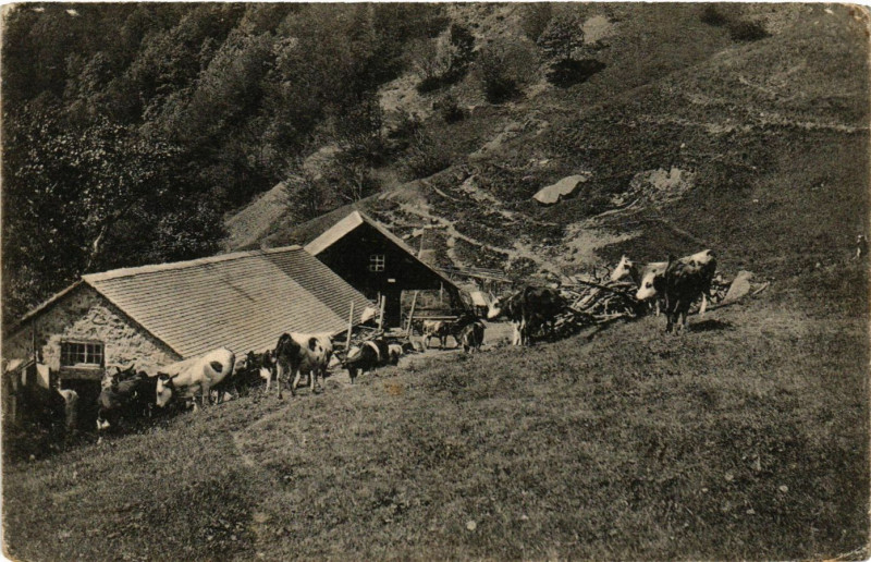 Carte postale ancienne Bataillon de CHASSEurs a Pied
