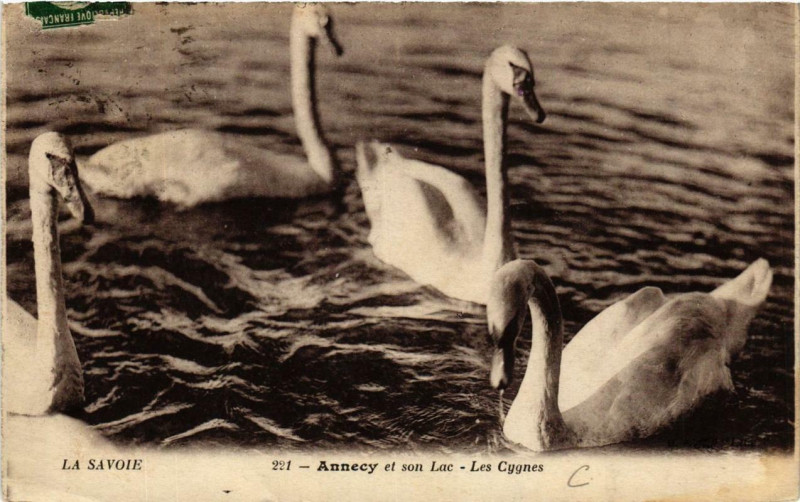 Carte postale ancienne Annecy et son Lac - Les Cygnes à Annecy