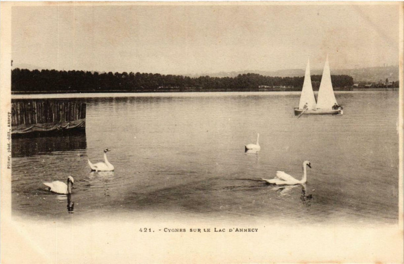 Carte postale ancienne Cygnes sur le Lac d'Annecy à Annecy