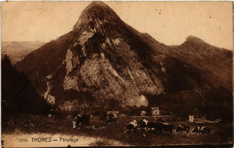 Carte postale ancienne Thones - Paturage à Thônes