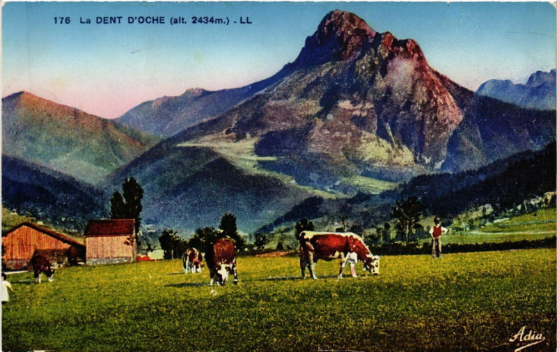 Carte postale ancienne La Dent d'Oche (alt 2434 m)