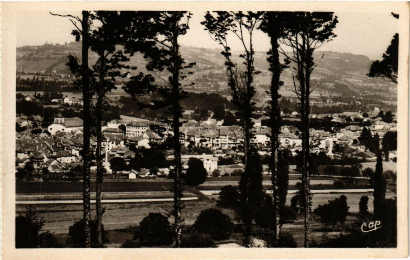 Carte postale ancienne Rumilly - Panorama a travers les bois à Rumilly