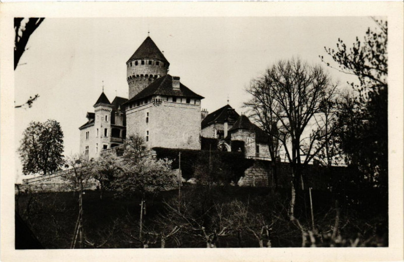 Carte postale ancienne Chateau de Montrottier pres d'Annecy - Vue générale à Annecy