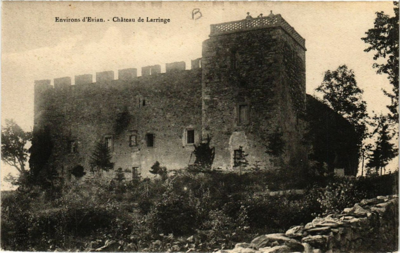 Carte postale ancienne Env. d'Evian Chateau de Larringe