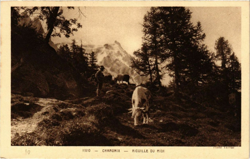 Carte postale ancienne Chamonix Aiguille du Midi