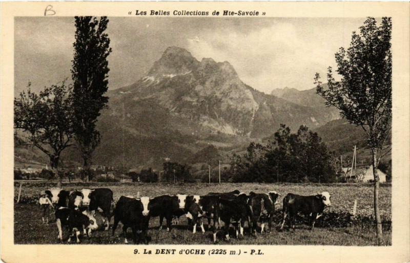 Carte postale ancienne La Dent d'Oche