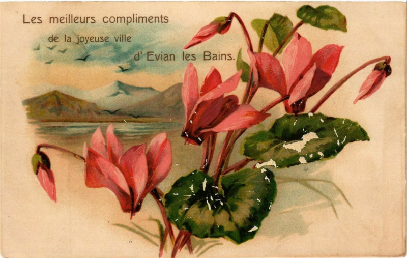 Carte postale ancienne Evian-les-Bains Les meilleurs compliments de joyeuse ville à Évian-les-Bains