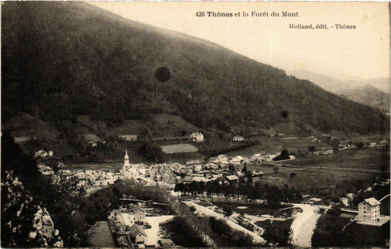 Carte postale ancienne Thones et la Foret du Mont à Thônes
