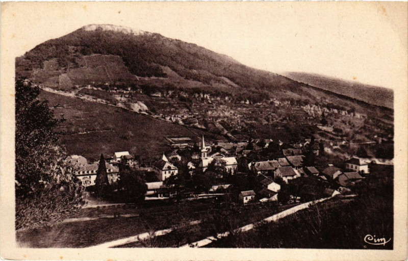 Carte postale ancienne Monnetier - Vue générale