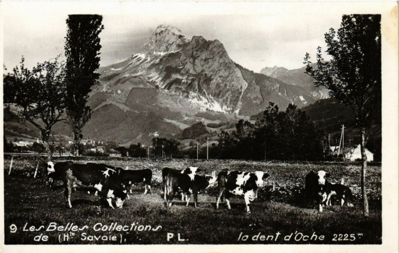 Carte postale ancienne Les Belles Collections de - la dent d'Oche 2225 m