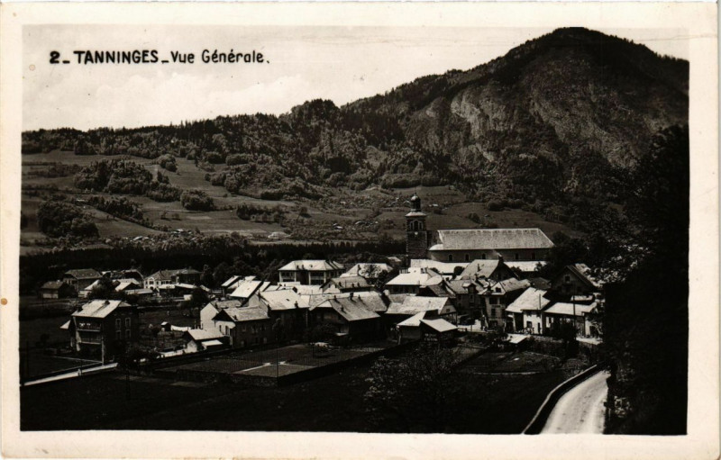 Carte postale ancienne Tanninges - Vue générale