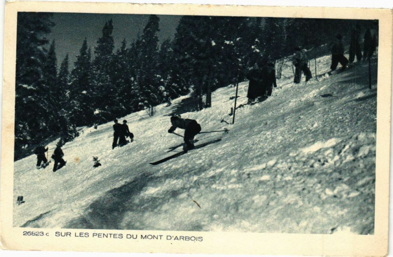 Carte postale ancienne Sur les Pentes du Mont d'Arbois
