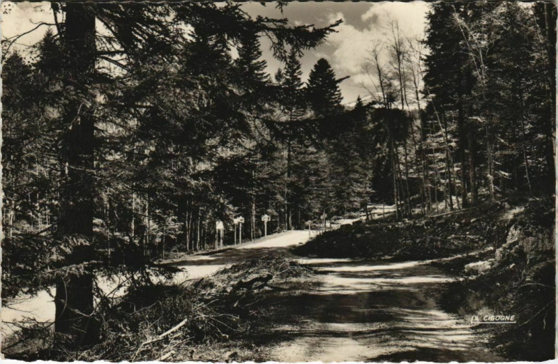 Carte postale ancienne Foret de Lente Les trois routes France