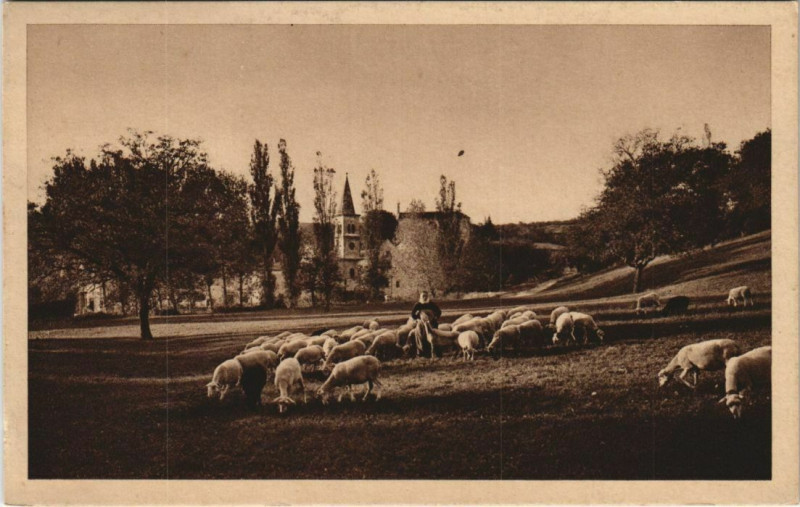 Carte postale ancienne Abbaye d'Aiguebelle Le Berger et son Troupeau France
