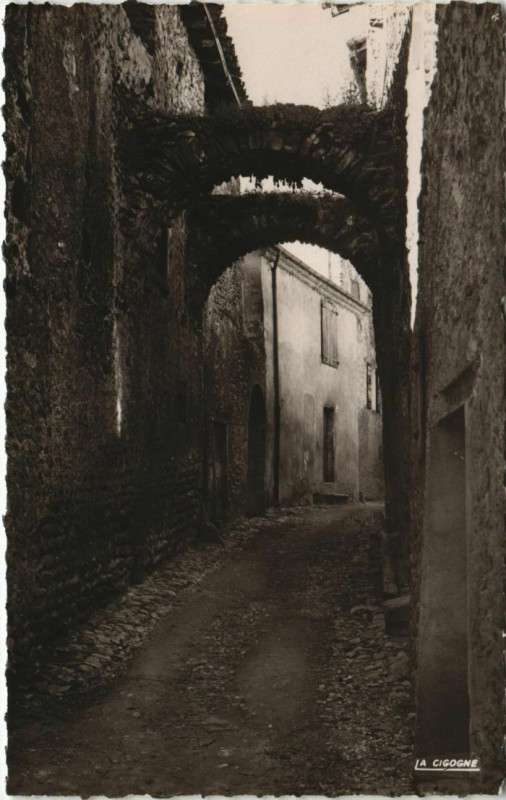 Carte postale ancienne Chatillon en Diois Rue du Centre France