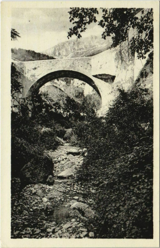Carte postale ancienne Chatillon en Diois Pont sur le Bain France