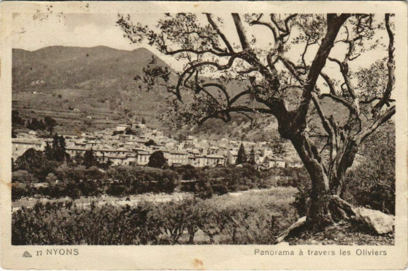 Carte postale ancienne Nyons panorama atravers les oliviers France à Nyons