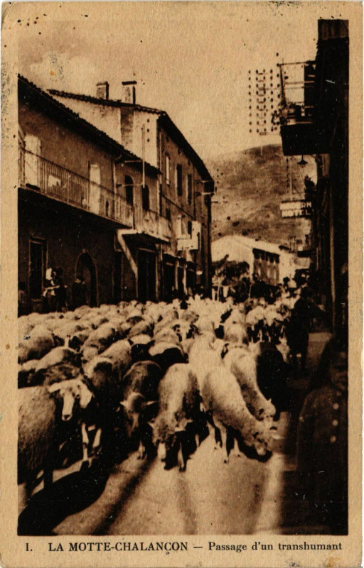 Carte postale ancienne La Motte Chalancon - Passage 'un transhumant à Chalancon
