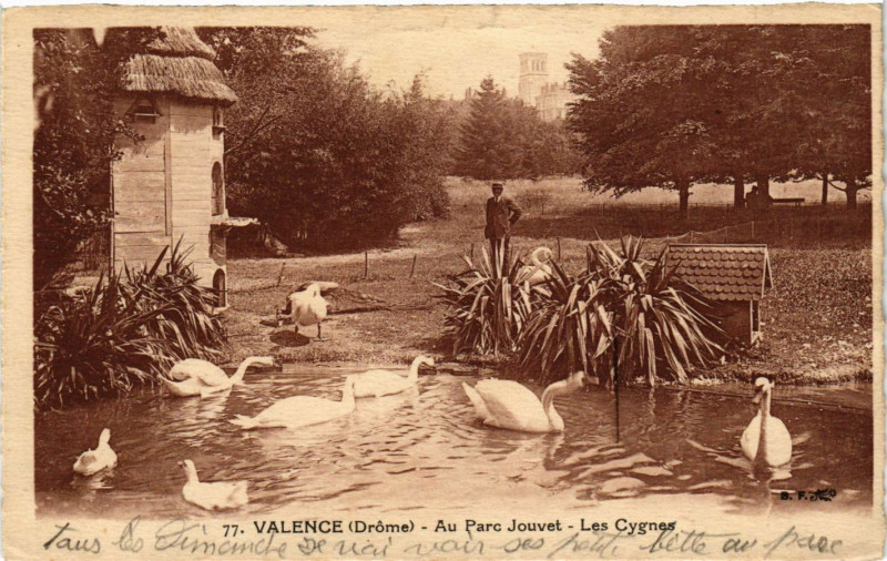 Carte postale ancienne Valence Au Parc Jouvet Les Cygnes à Valence