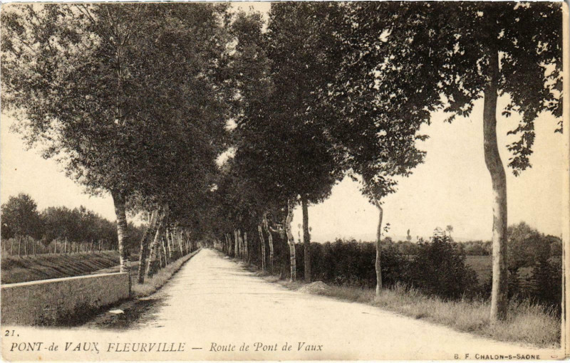 Carte postale ancienne Pont-de-Vaux Fleureville à Pont-de-Vaux
