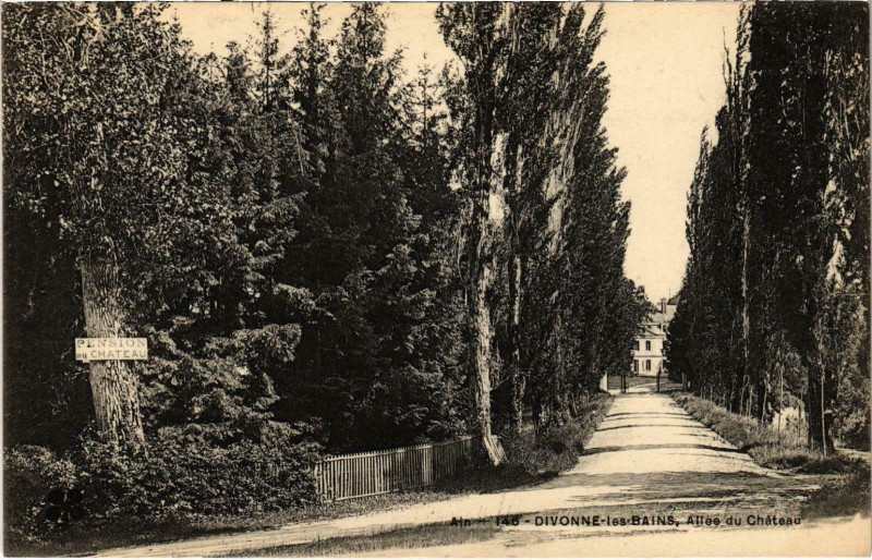 Carte postale ancienne Divonne-les-Bains - Allée du Chateau à Divonne-les-Bains