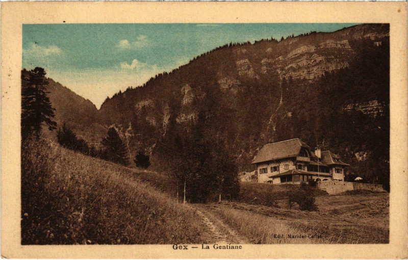 Carte postale ancienne Gex - La Gentiane à Gex