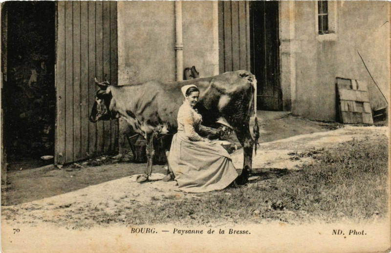 Carte postale ancienne Bourg Paysanne de la Bresse