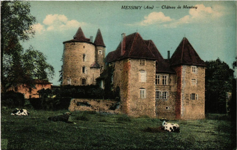 Carte postale ancienne Messimy Chateau de Messimy