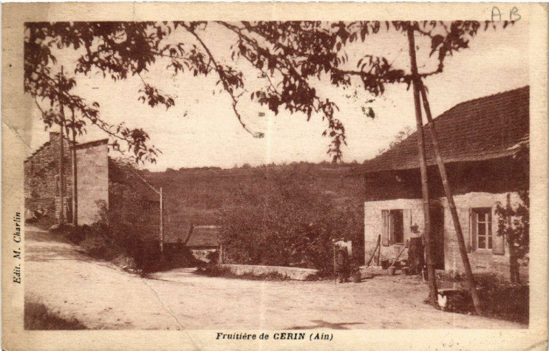 Carte postale ancienne Fruitiere de Cerin