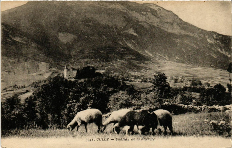 Carte postale ancienne Culoz Chateau de la Flechere à Culoz