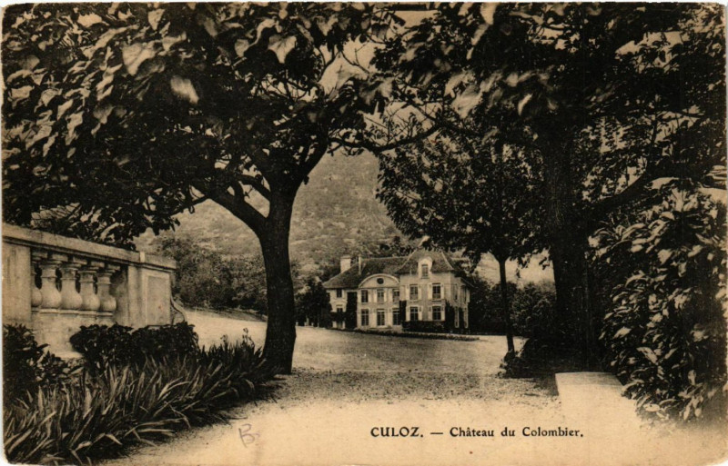 Carte postale ancienne Culoz Chateau de Colombier à Culoz