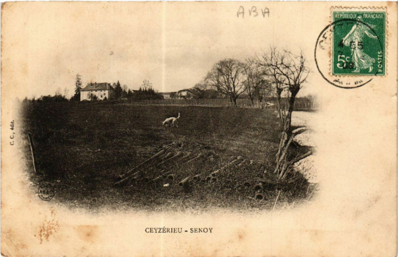 Carte postale ancienne Senoy à Ceyzérieu