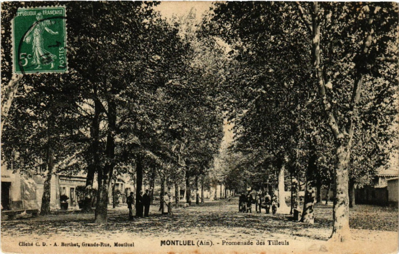 Carte postale ancienne Montluel Promenade des Tilleuls à Montluel