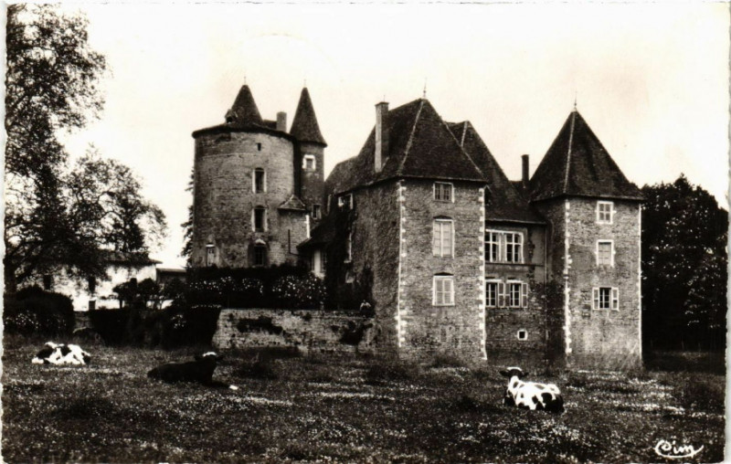 Carte postale ancienne Messimy Le Chateau