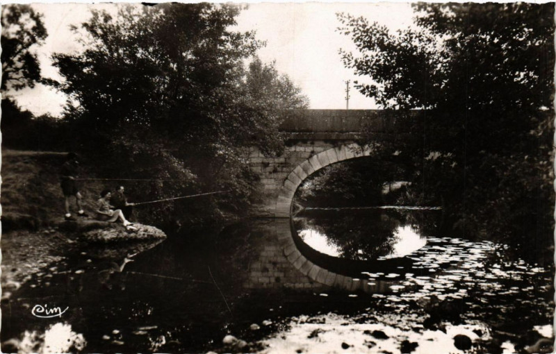 Carte postale ancienne La Chapelle-du-Chatelard Le Chalaronne et le Pont maudit