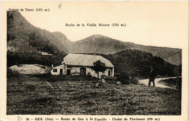 Carte postale ancienne Gex Chalet de Florimont Roche de la Vieille Maison à Gex