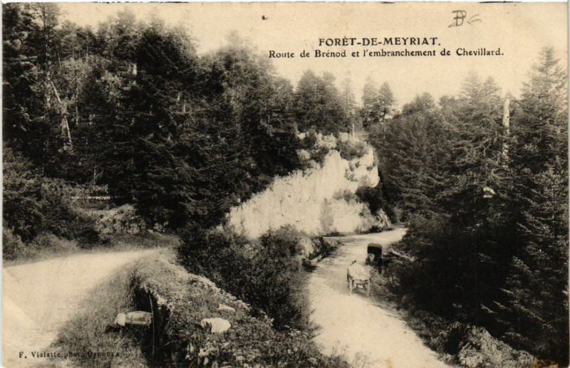 Carte postale ancienne Foret-de-Meyriat Route de Brenod à Brénod
