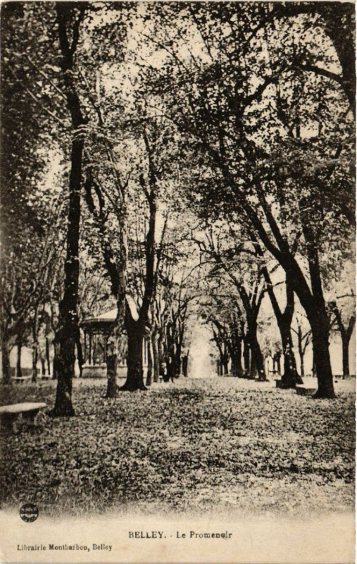 Carte postale ancienne Belley Le Promenoir à Belley