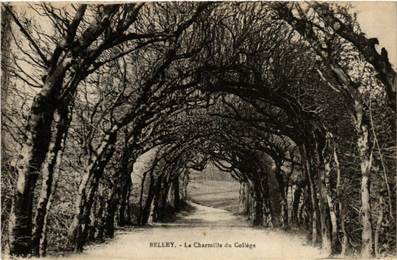 Carte postale ancienne Belley La Charmille du College à Belley