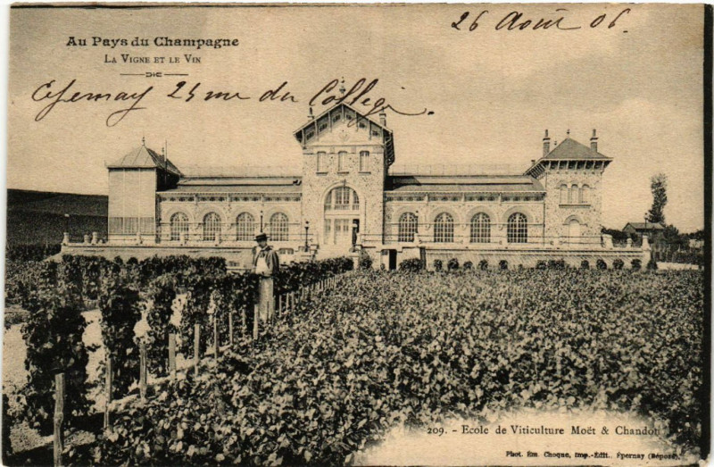Carte postale ancienne Au Pays du Champagne La Vigne et le Vin Ecole de Viticulture