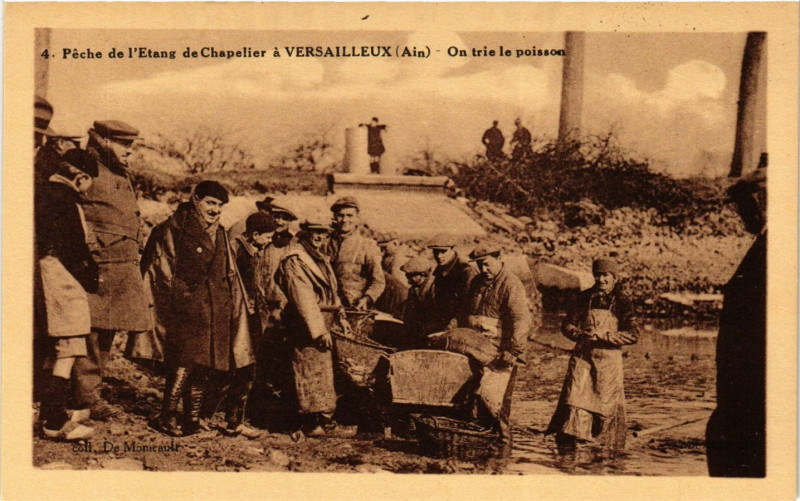 Carte postale ancienne Peche de l'Etang de Chapelier a Versailleux On trie le poisson à Versailleux