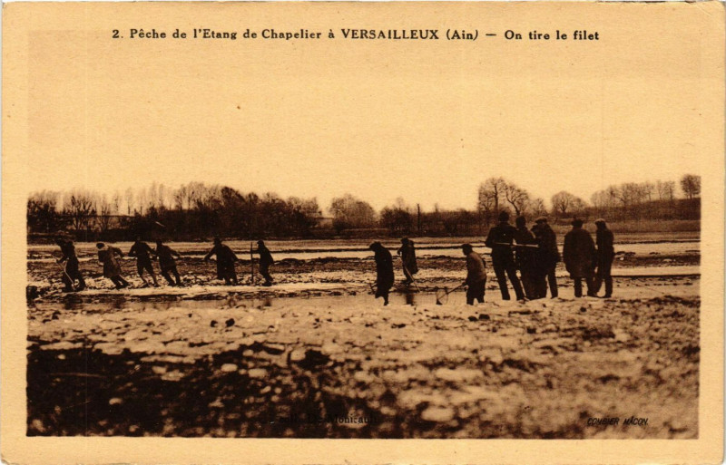 Carte postale ancienne Peche de l'Etang de Chapelier a Versailleux On tire le filet à Versailleux