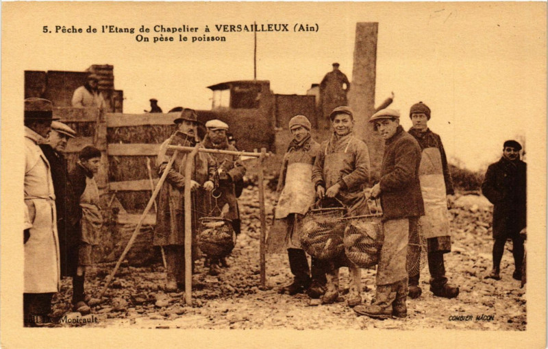 Carte postale ancienne Peche de l'Etang de Chapelier a Versailleux On pese le poisson à Versailleux
