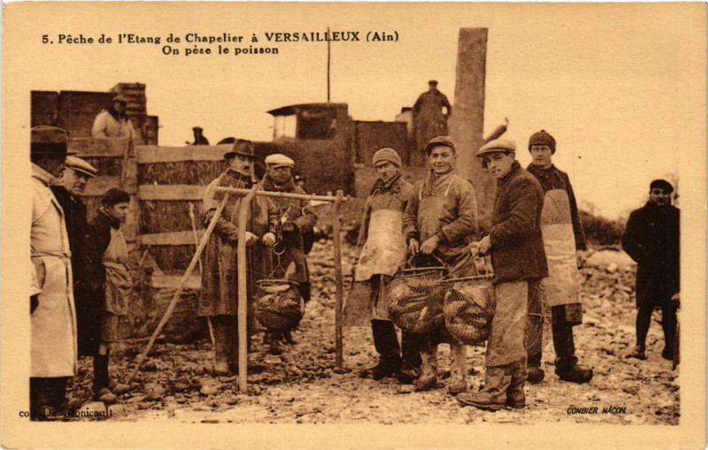 Carte postale ancienne Peche de l'Etang de Chapelier a Versailleux On pese le poisson à Versailleux