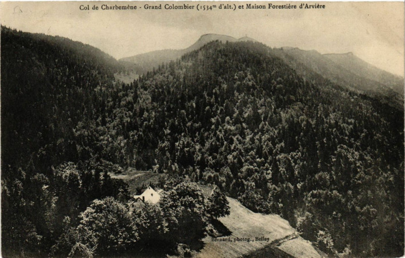 Carte postale ancienne Col de Charbemene Grand Colombier