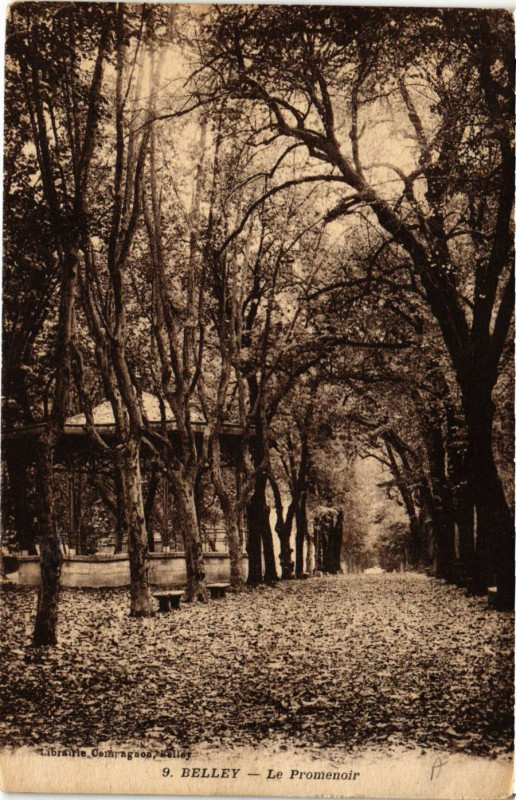 Carte postale ancienne Belley Le Promenoir à Belley