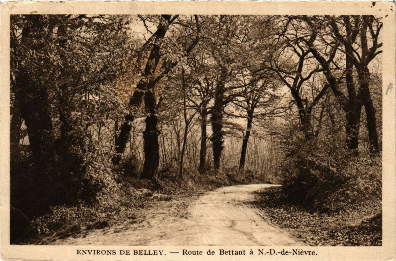 Carte postale ancienne Belley Environs Route de Bettant à Belley