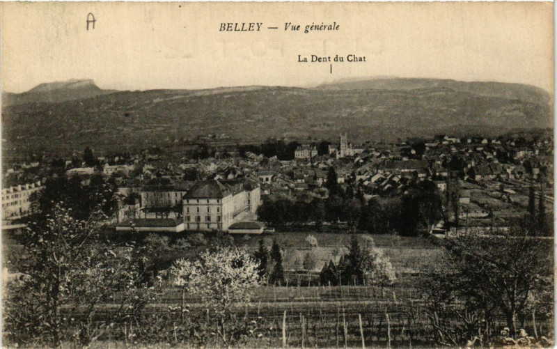 Carte postale ancienne Belley Vue générale La Dent du Chat à Belley